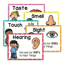 5-Piece Five Senses Educational Posters for Kids
