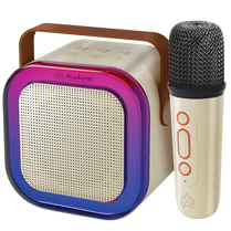 Audionic Boom Box 102 Karaoke Bluetooth Speaker with Mic