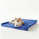 Diamond Supreme Foam Pet Bed | Diamond Foam Official Store