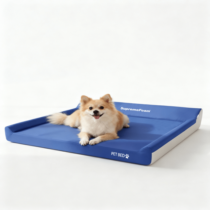 Diamond Supreme Foam Pet Bed | Diamond Foam Official Store