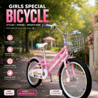 BDF 20" Girls Bicycle Light Pink with Steel Basket (Ages 7-13)