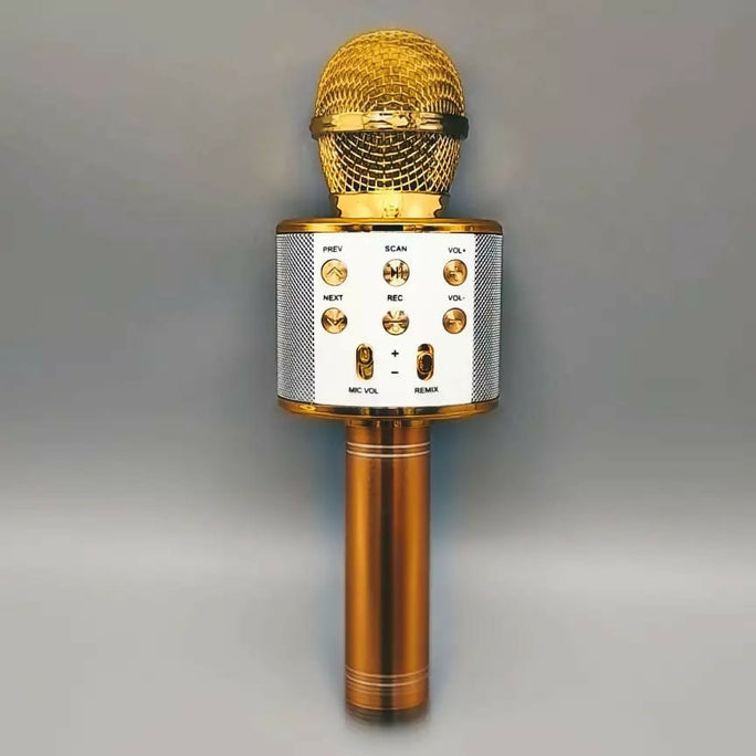 WS-858 3-in-1 Portable Bluetooth Karaoke Microphone & HiFi Speaker | Wireless Handheld KTV Mic, Music Player, Voice Recorder | USB Data Cable Charging, AUX, SD Card Support for All Smartphones & Smart TVs