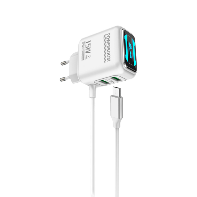 LRB-291 Micro Charger