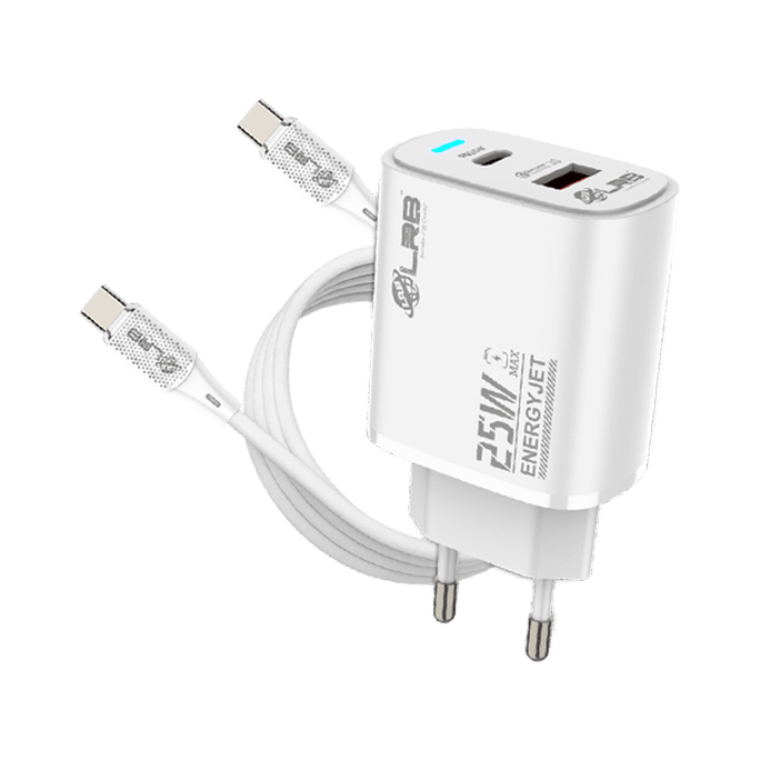 LRB-294 Charger