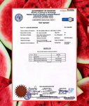 Watermelon Coling Sunscreen
