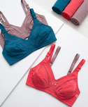 Women's Bra | Ladies Pure Cotton Wireless Non Padded Bra | Full Coverage Mesh Panel Comfortable Everyday Wide Strap Bra | Women's Innerwear