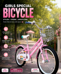BDF 20" Girls Bicycle Light Pink with Steel Basket (Ages 7-13)