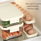 2 Tier Egg Organizer Automatic Scrolling Egg Rack Double Layer Egg Storage Tray