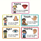 5-Piece Five Senses Educational Posters for Kids