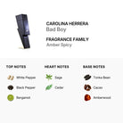 Carolina Herrera Bad Boy Eau De Toilette for Men 100ml (8411061923245)