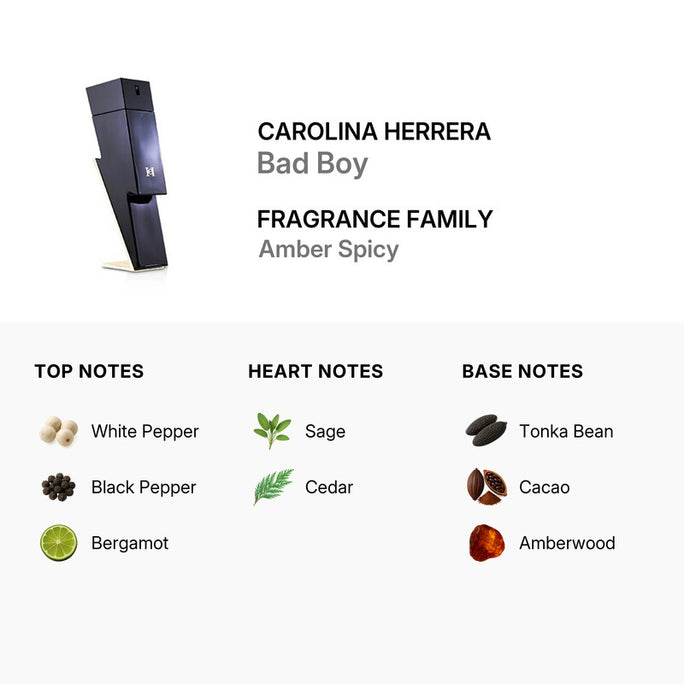 Carolina Herrera Bad Boy Eau De Toilette for Men 100ml (8411061923245)
