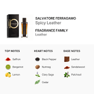 Ferragamo Spicy Leather Eau De Parfum for Men 100ml (8052464895748)
