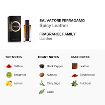 Ferragamo Spicy Leather Eau De Parfum for Men 100ml (8052464895748)