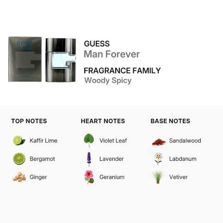 Guess Forever For Men EDT 75ml (85715327802)
