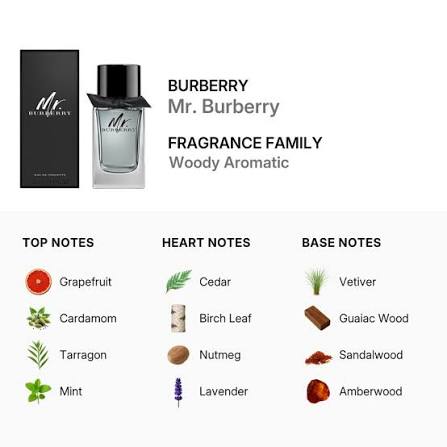 Burberry Mr. Burberry Eau De Toilette for Men 100ml (3614229840124)