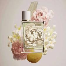 Burberry Her Eau De Toilette for Women 100ml (3616301975755)