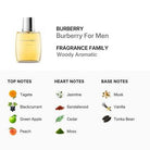 Burberry Classic Eau De Toilette for Men 100ml (3614226905758)