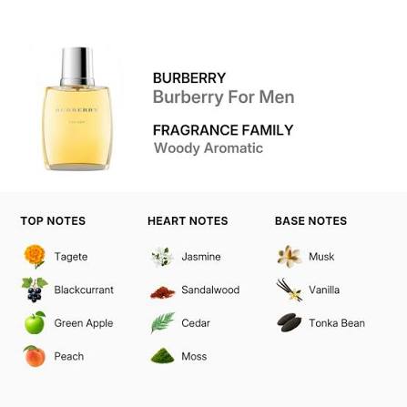 Burberry Classic Eau De Toilette for Men 100ml (3614226905758)