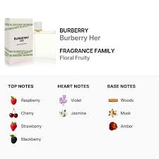 Burberry Her Eau De Toilette for Women 100ml (3616301975755)
