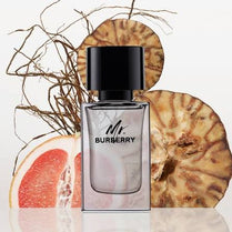 Burberry Mr. Burberry Eau De Toilette for Men 100ml (3614229840124)