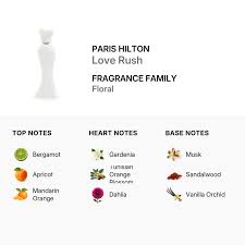 Paris Hilton Love Rush Women EDP Spray 3.4oz 100ml (608940583562)