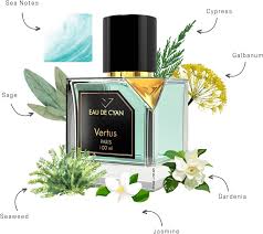 Vertus Eau De Cyan Eau De Parfum Unisex 100ml (3612345679291)