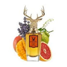Pana Dora Forever Love EDP For Unisex 100ml (7350123230383)