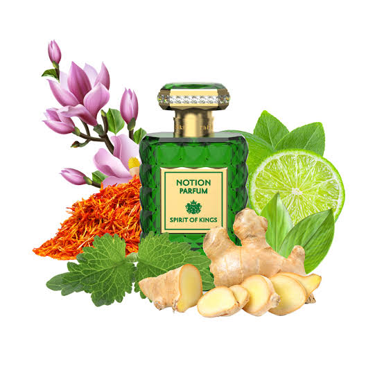 Spirit Of Kings Notion Parfum Unisex 100ml (8436602870611)