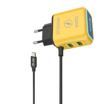 LRB-212 Micro Charger
