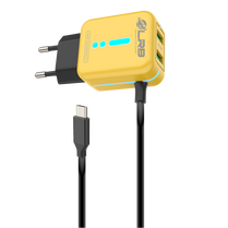 LRB-220 Charger