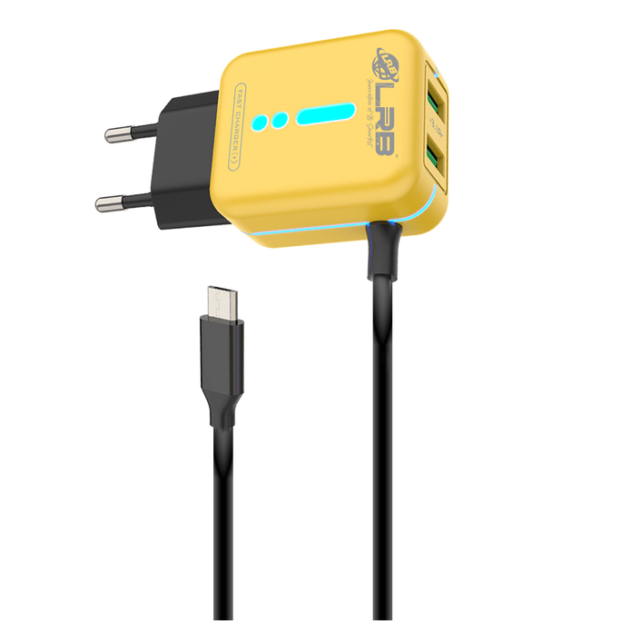 LRB-220 Charger