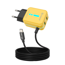LRB-221 Charger