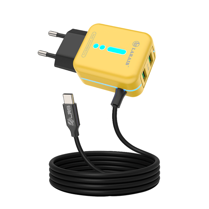 LRB-221 Charger