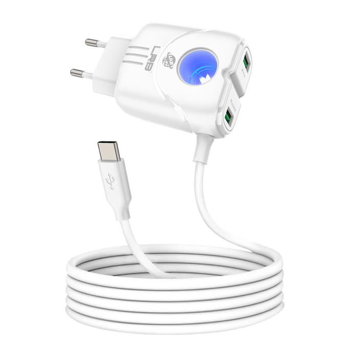 LRB-142 FlashPlug 3.1A Dual USB Fast Charger