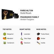 Paris Hilton Gold Rush Man Gift Set for Men - EDT 100ml + Mini EDT 15ml + Hair & Body Wash 90ml + Deodorant Stick 78g (608940574553)
