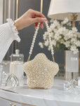 Mini Star Pearl Embellished Frame Clutch for Women - Premium Metal Frame Evening & Party Handbag