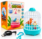 Bird Cage Music, Light & Voice Recording