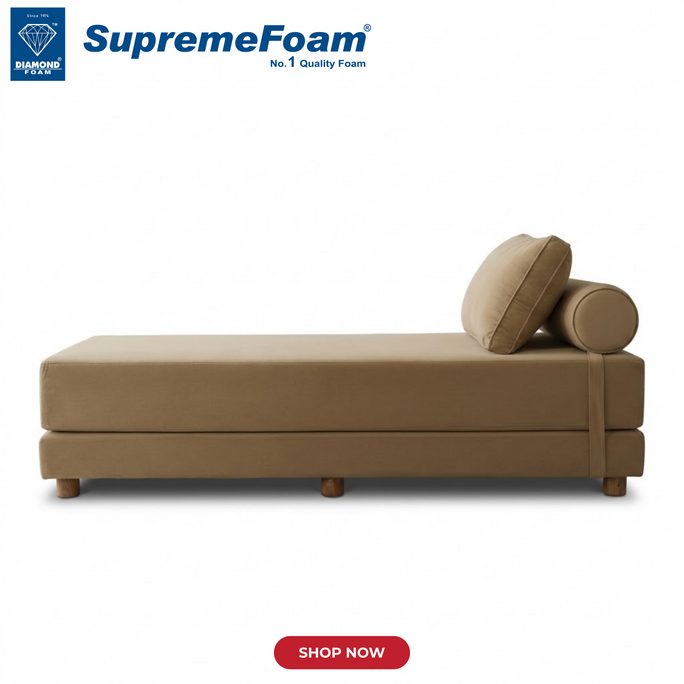 Diamond Supreme Foam Restinova Sofa Cum Bed | Diamond Foam Official Store