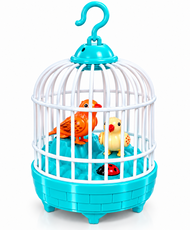 Bird Cage Music, Light & Voice Recording